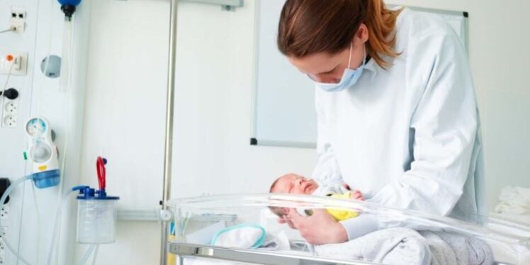 neonato