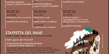 campus forno